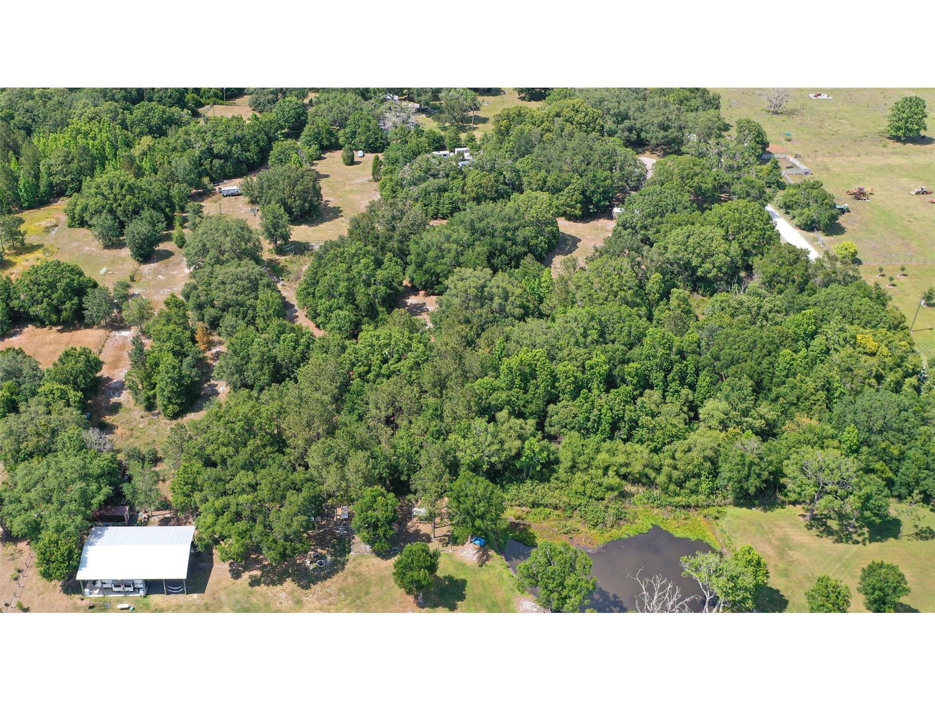 14815 Sherrod Croft Lane Dade City FL 33525 TB8490143 image6