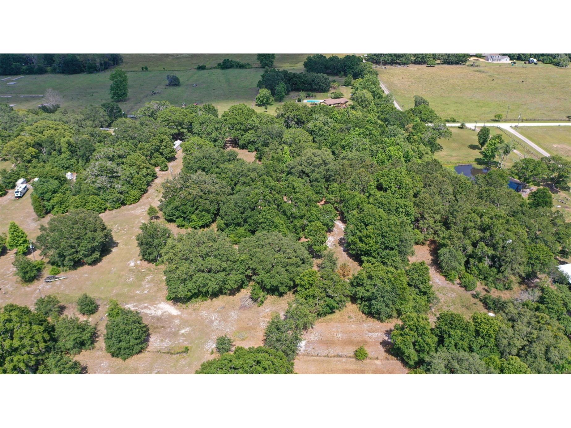 14815 Sherrod Croft Lane Dade City FL 33525 TB8490143 image7