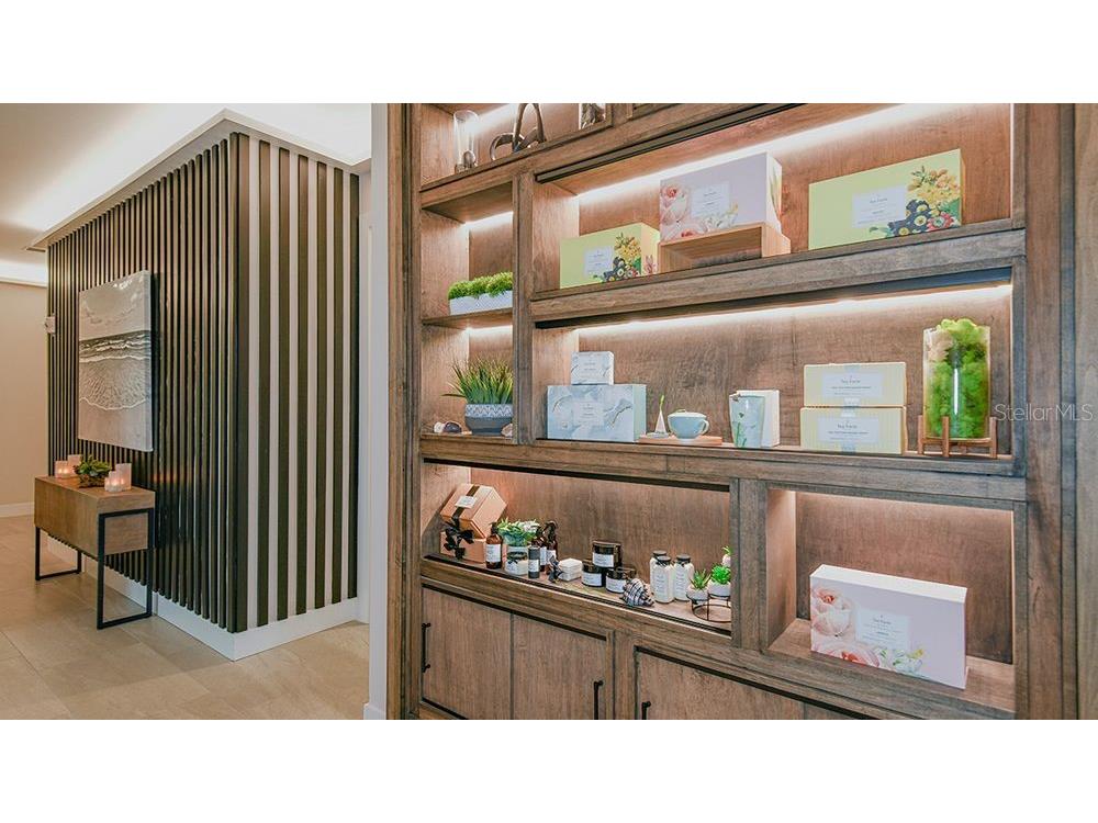 14816 Orrieto Place Bradenton FL 34211 A4666322 image41