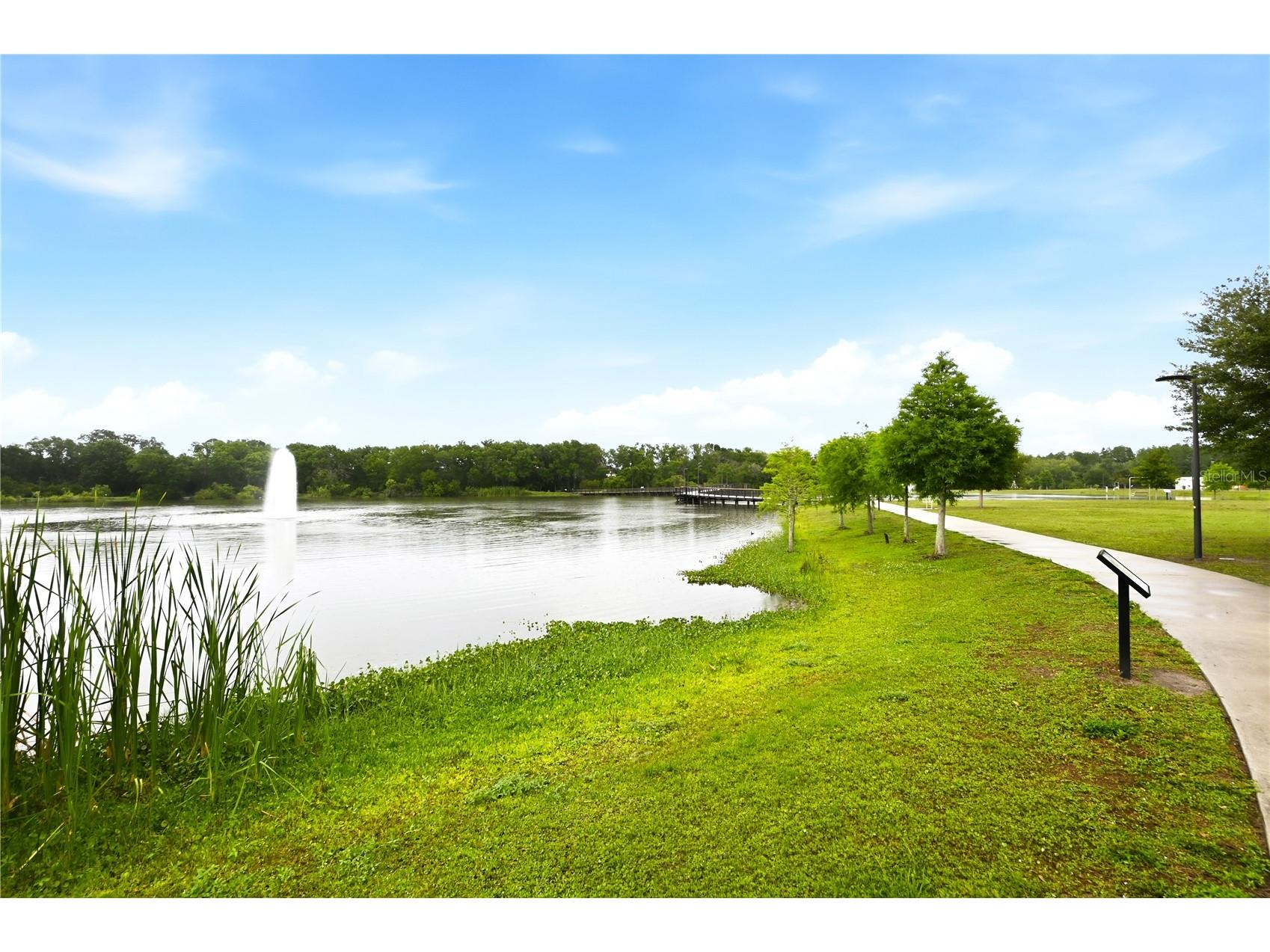 14817 Farnham Way Tampa FL 33624 TB8490668 image26