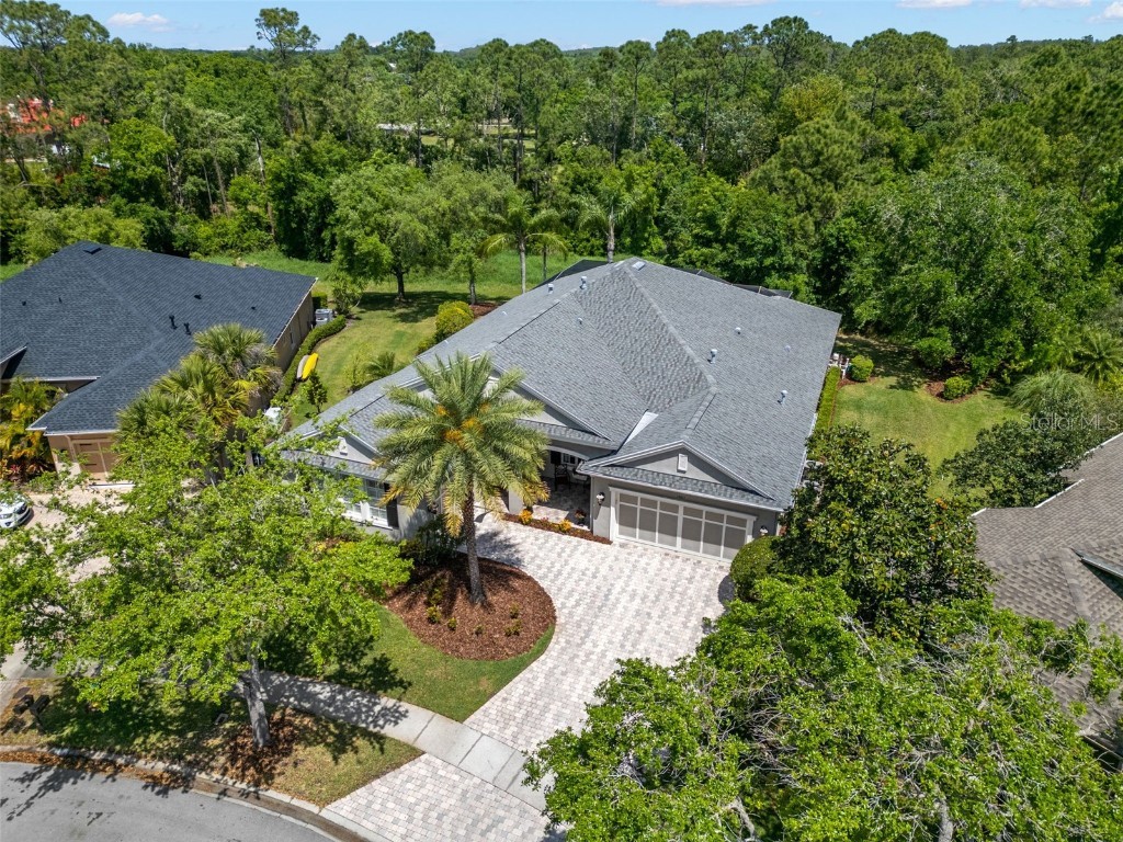 14817 Tudor Chase Drive Tampa FL 33626 TB8370195 image1