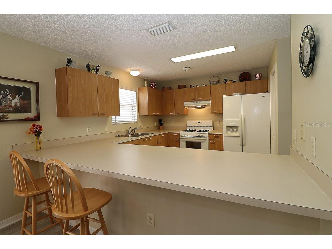 1482 Azteca Loop The Villages FL 32162 G5096623 image10