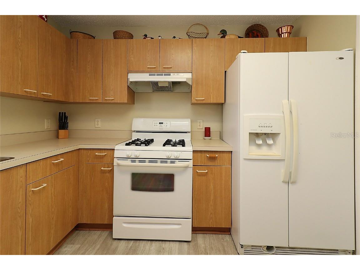 1482 Azteca Loop The Villages FL 32162 G5096623 image13