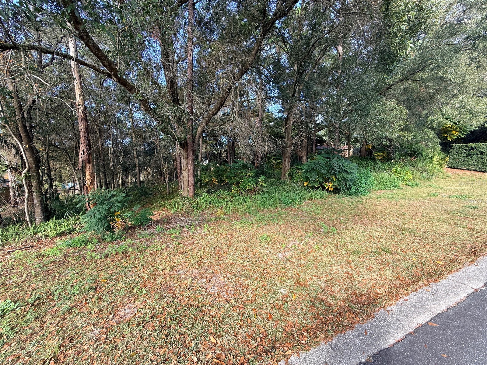 1482 Covered Bridge Drive Deland FL 32724 V4946778 image2