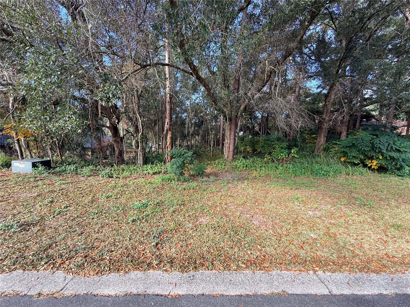 1482 Covered Bridge Drive Deland FL 32724 V4946778 image3