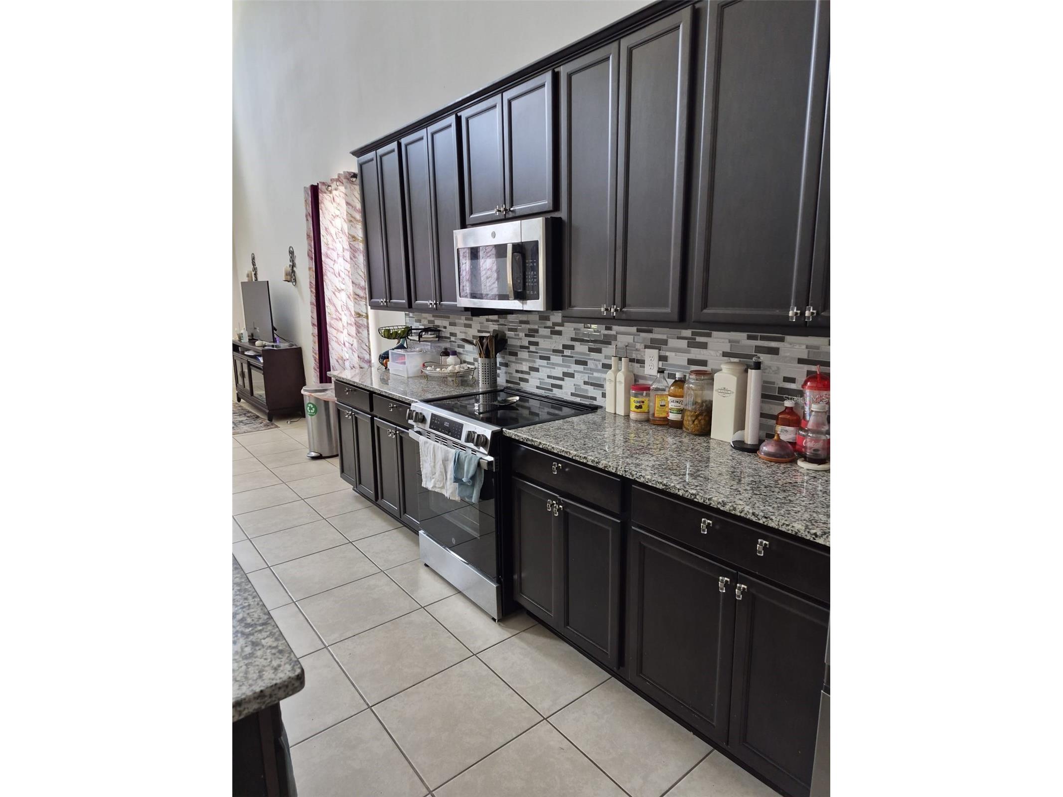1482 Flatwood Street Saint Cloud FL 34771 O6407771 image9