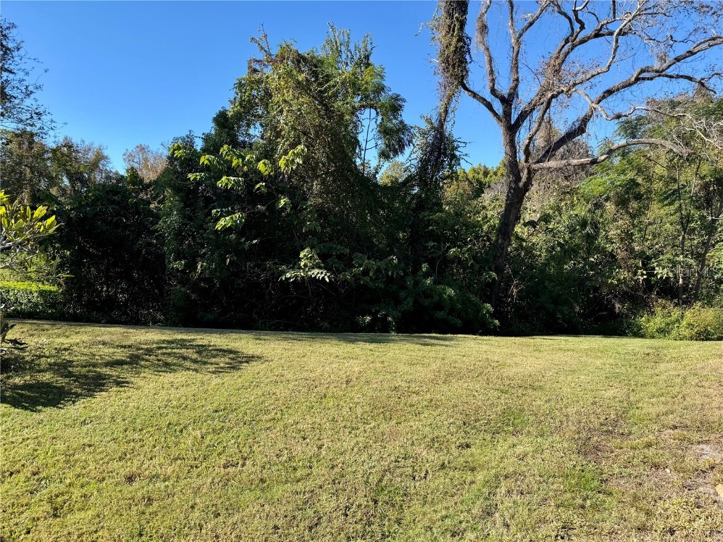 1482 Glengarry Drive Palm Harbor FL 34684 - LAKE TARPON TB8448770 image19