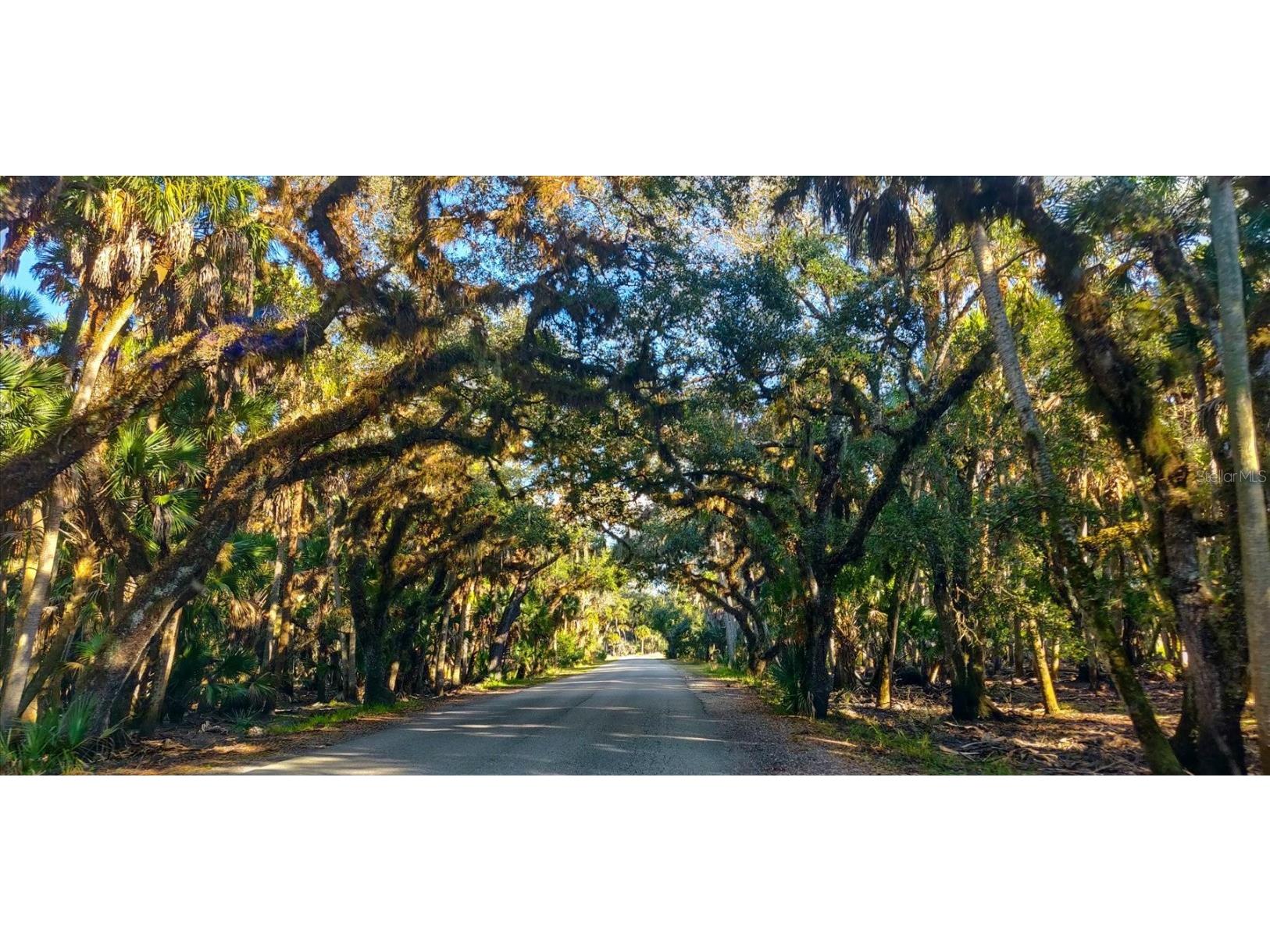 1482 Kingsdown Drive Sarasota FL 34240 A4674078 image83