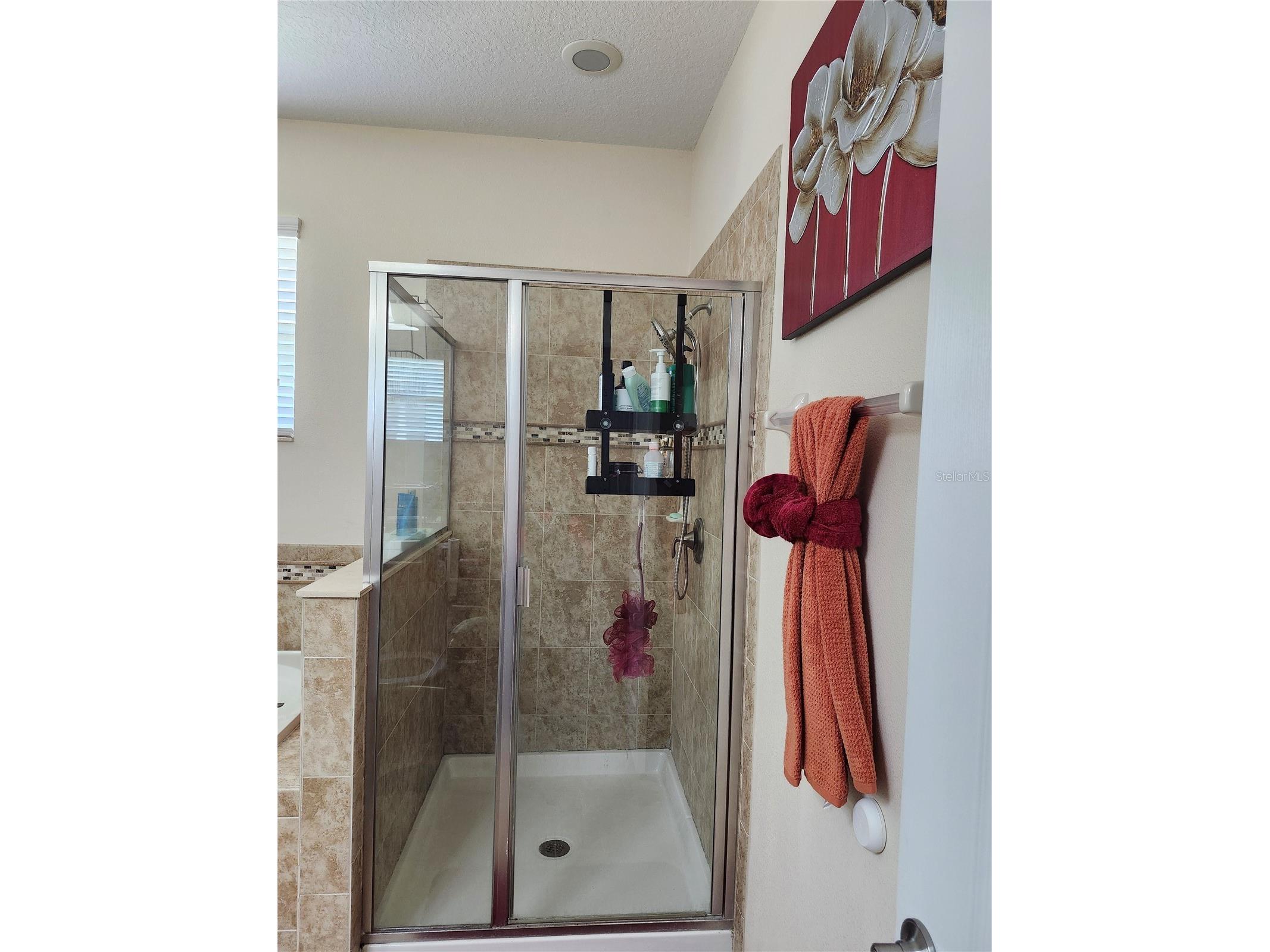 1482 Lake Side Avenue Davenport FL 33837 S5149453 image24