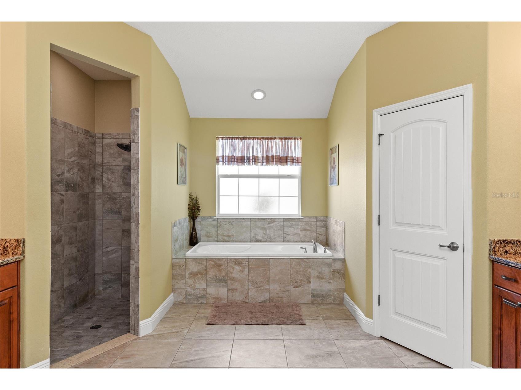 14820 Borromini Street Montverde FL 34756 O6407586 image18