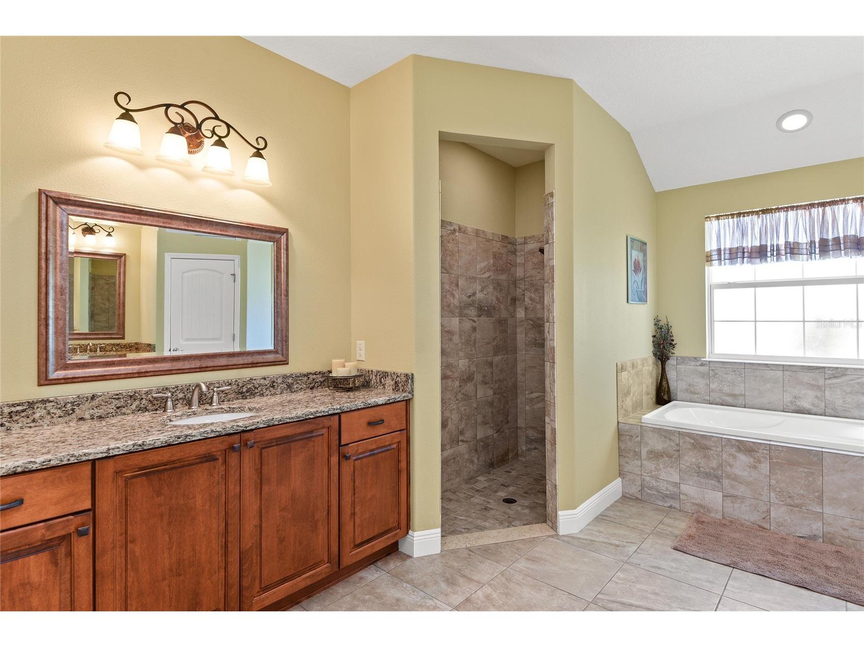 14820 Borromini Street Montverde FL 34756 O6407586 image19