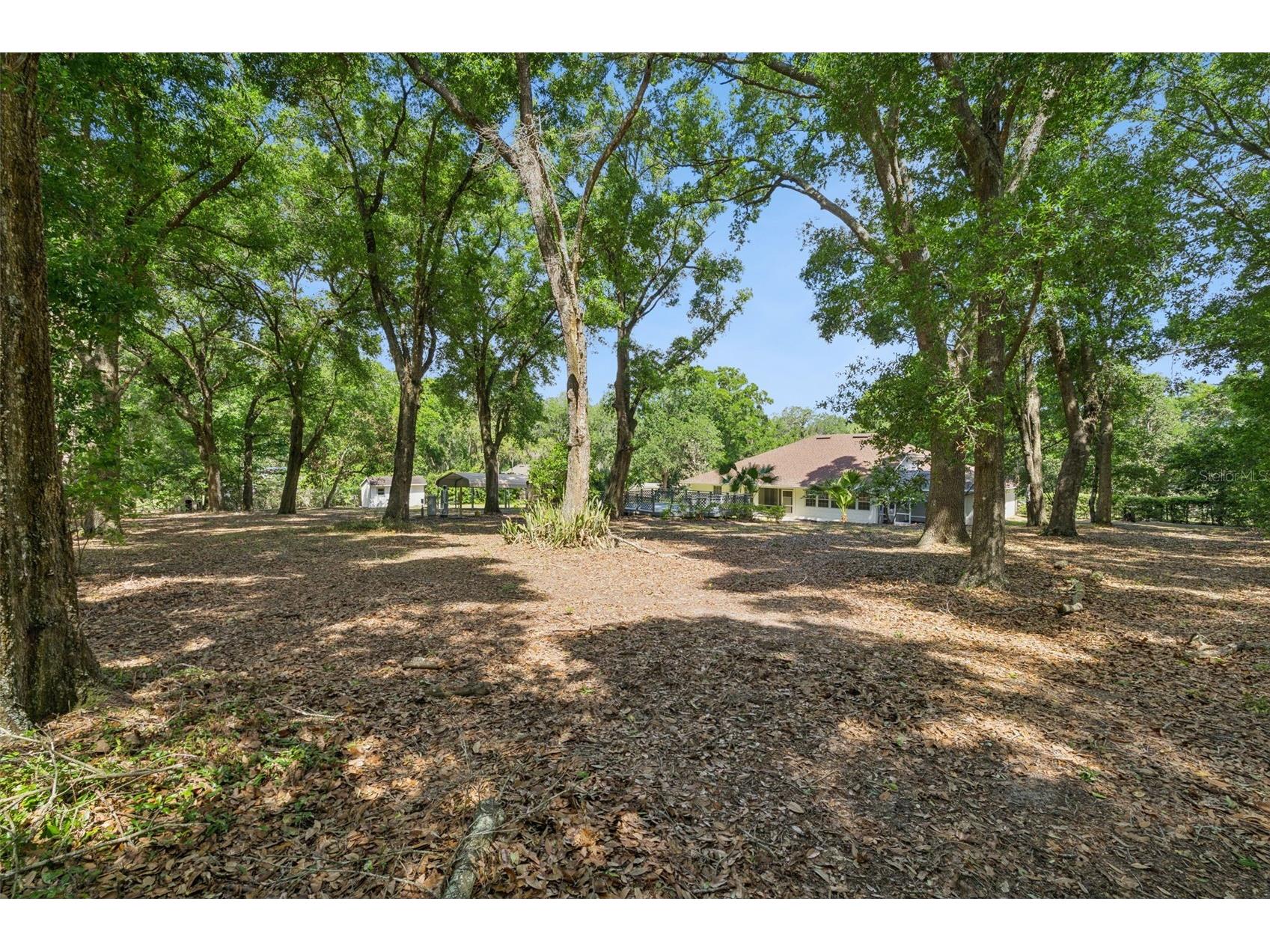 14820 County Road 561a Clermont FL 34715 G5111004 image46