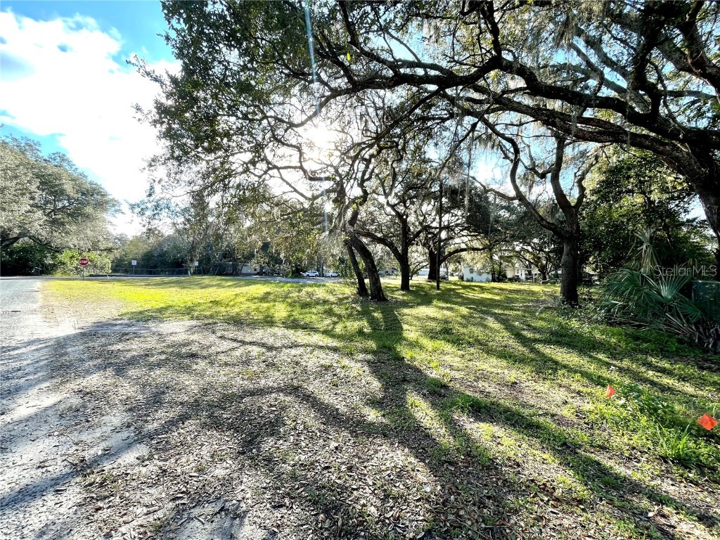 14820 N 15th Street Lutz FL 33549 T3425349 image10