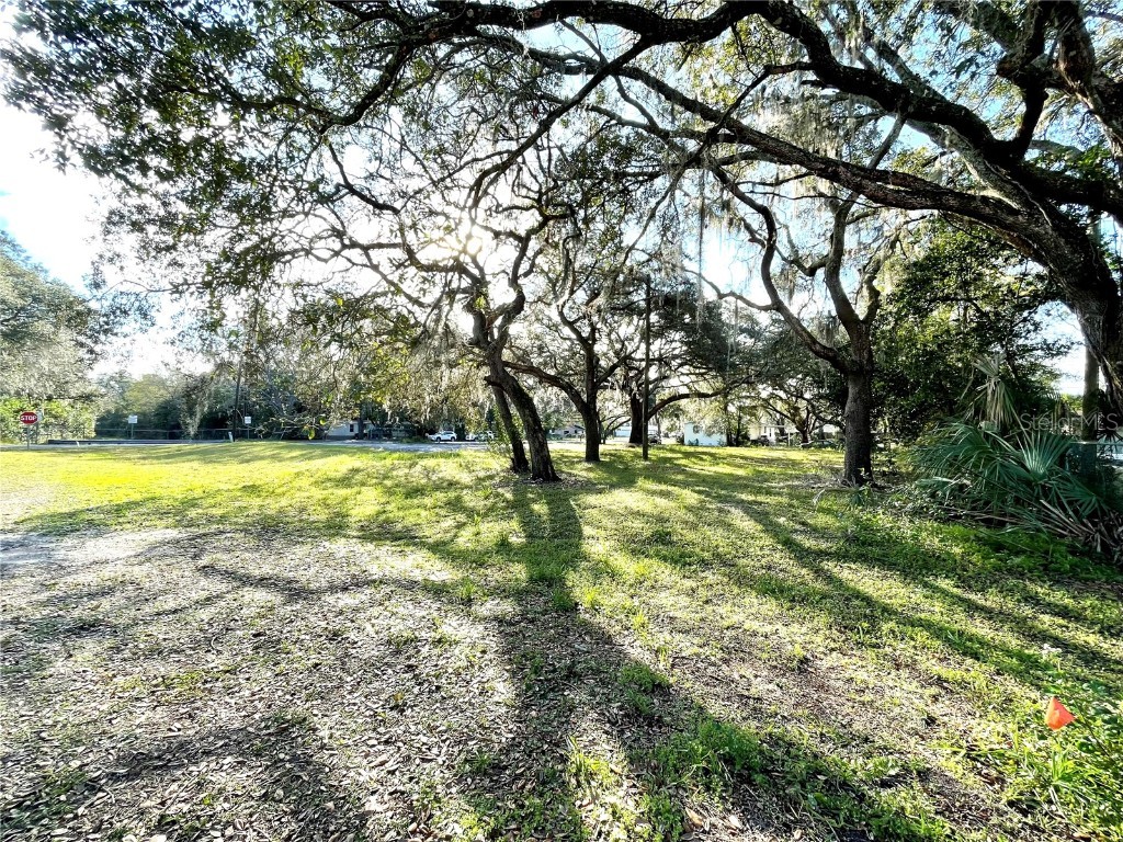 14820 N 15th Street Lutz FL 33549 T3425349 image11