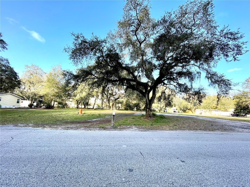 14820 N 15th Street Lutz FL 33549 T3425349 image2