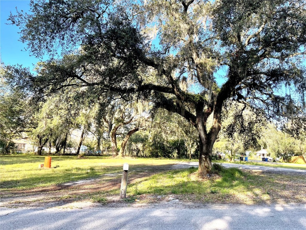 14820 N 15th Street Lutz FL 33549 T3425349 image3