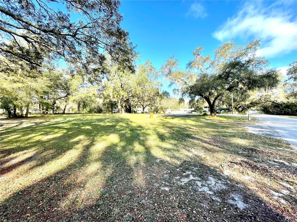 14820 N 15th Street Lutz FL 33549 T3425349 image4