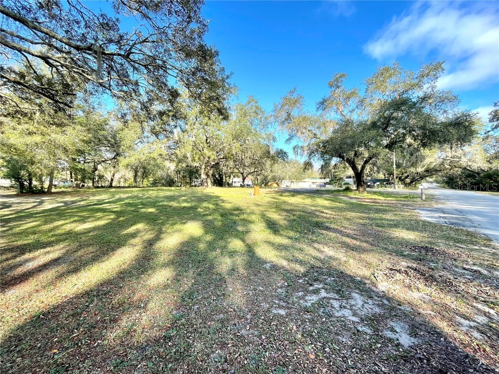 14820 N 15th Street Lutz FL 33549 T3425349 image5