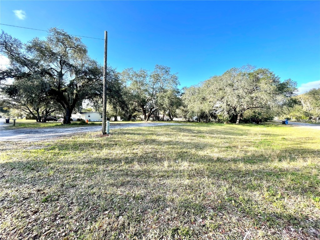 14820 N 15th Street Lutz FL 33549 T3425349 image6