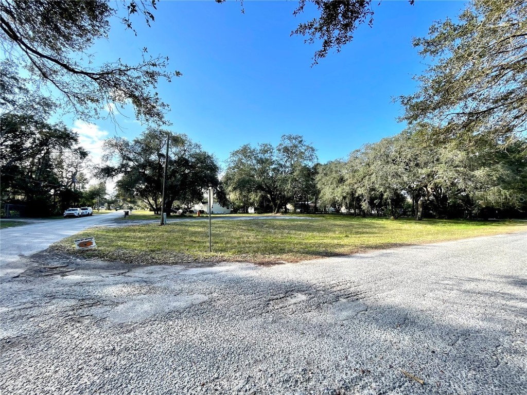 14820 N 15th Street Lutz FL 33549 T3425349 image8