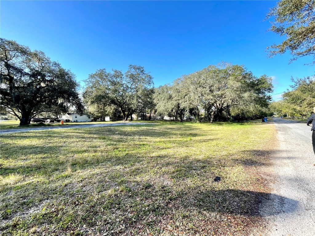 14820 N 15th Street Lutz FL 33549 T3425349 image9