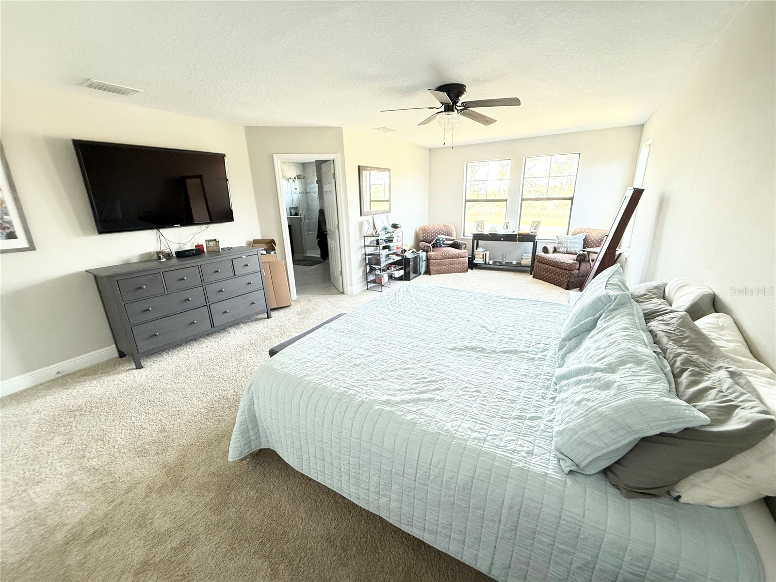 14820 Paddock Pond Avenue Lithia FL 33547 O6373904 image7