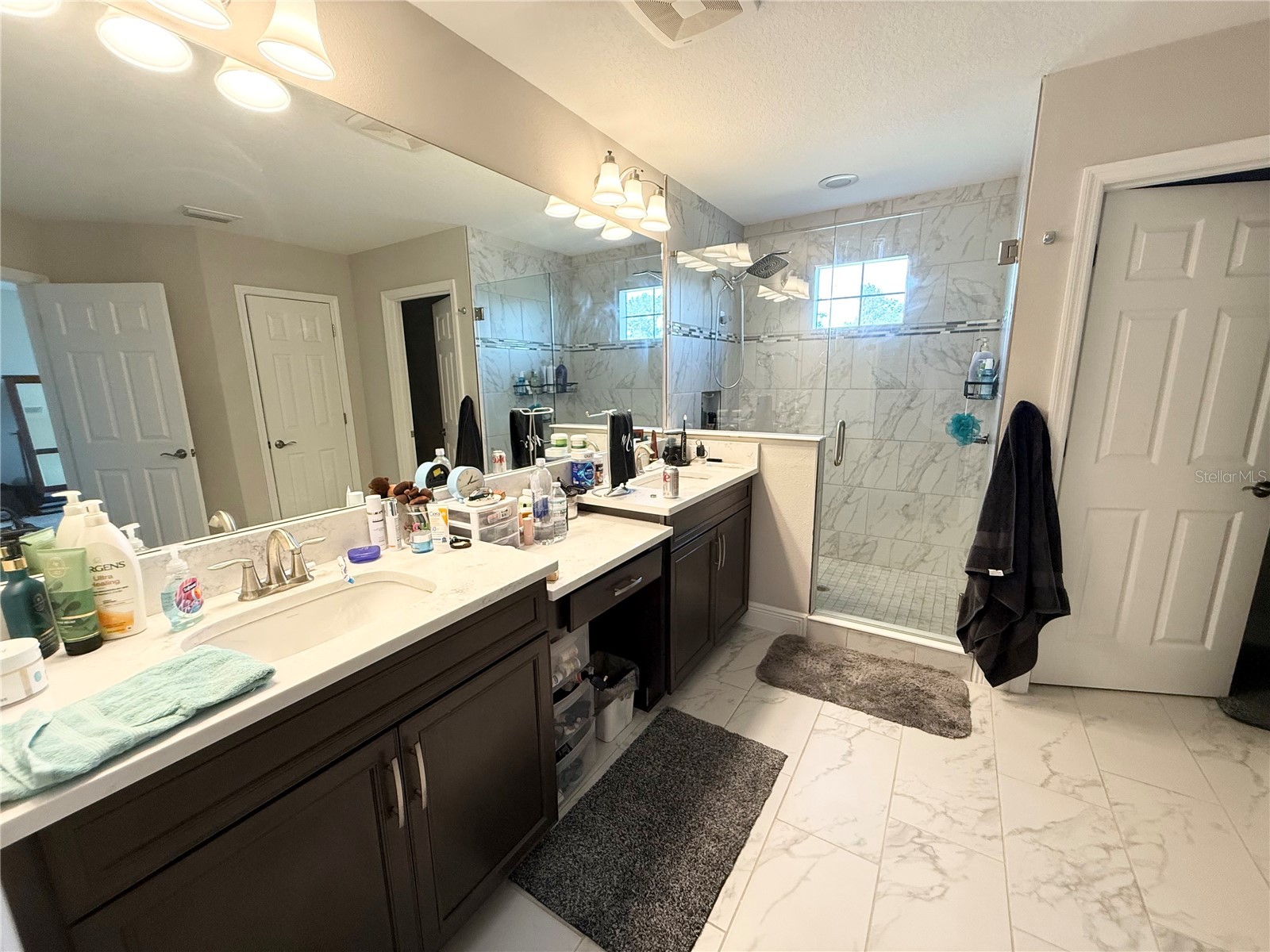 14820 Paddock Pond Avenue Lithia FL 33547 O6373904 image8