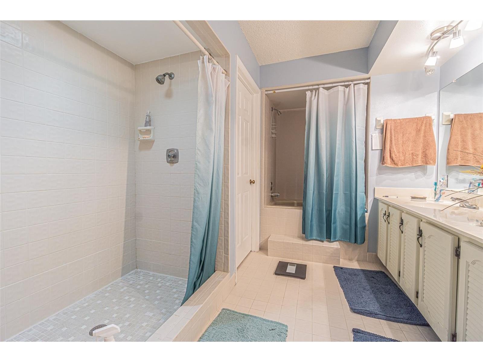 14820 Rue De Bayonne #301 Clearwater FL 33762 TB8488366 image13