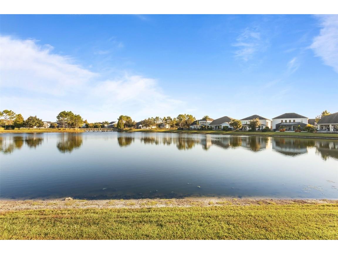 14822 Trails Edge Boulevard Odessa FL 33556 TB8447946 image23