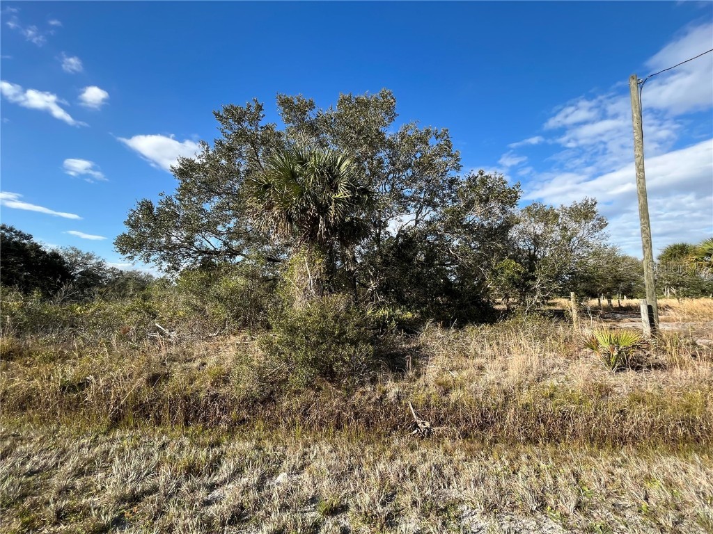 14823 NW 310th Street Okeechobee FL 34972 OK222436 image1