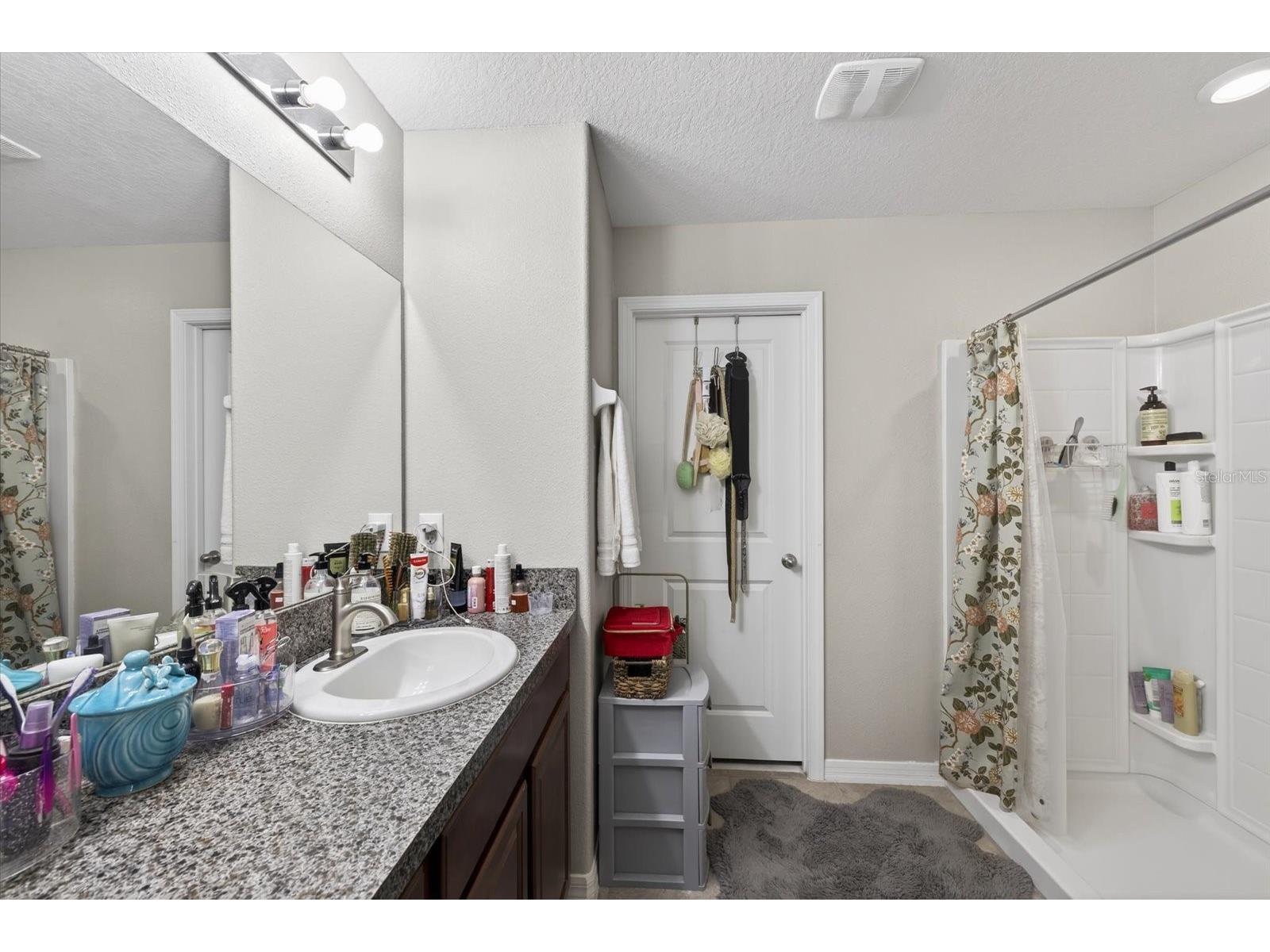 14825 Crescent Rock Drive Wimauma FL 33598 TB8490539 image23
