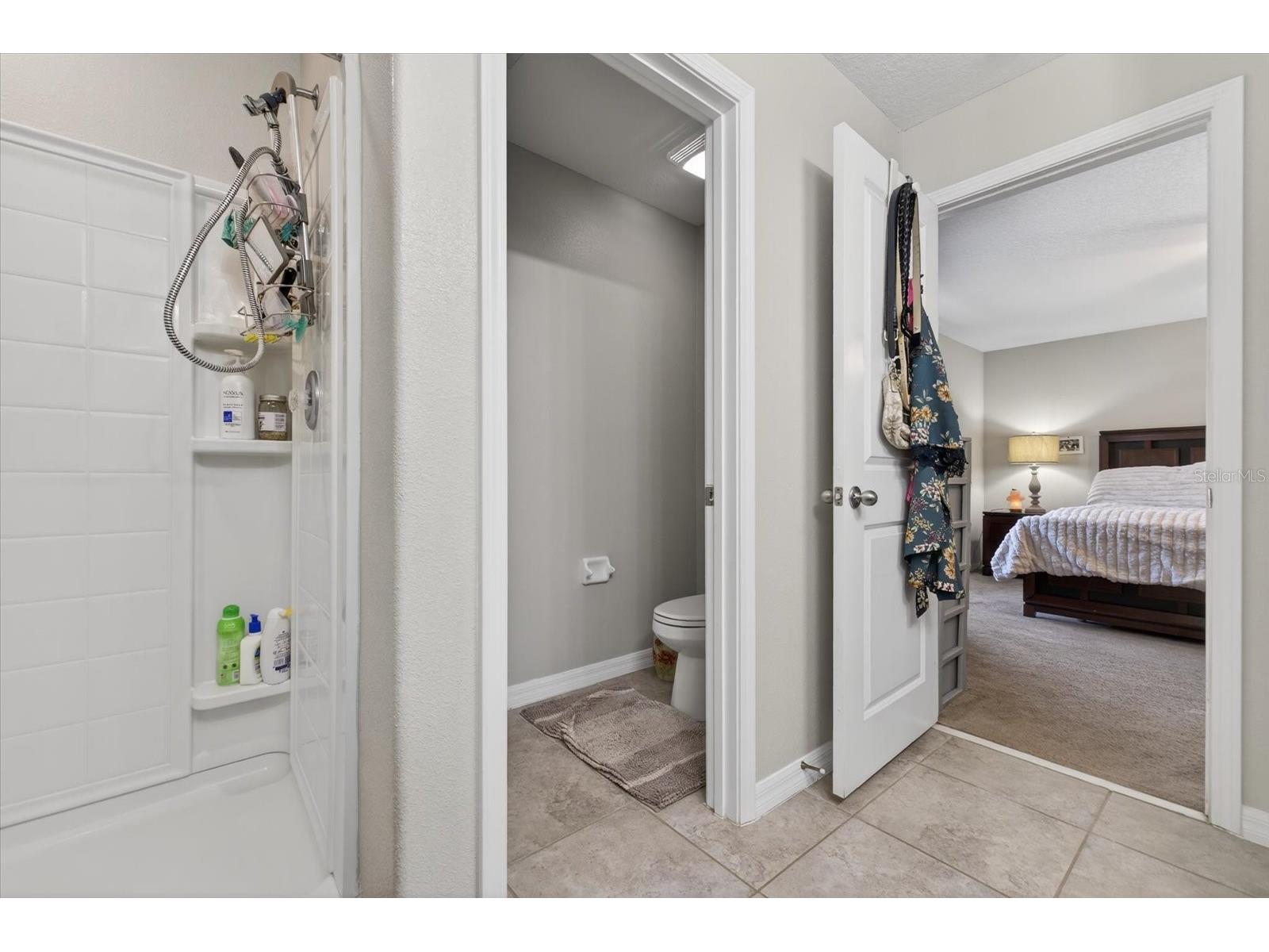 14825 Crescent Rock Drive Wimauma FL 33598 TB8490539 image24