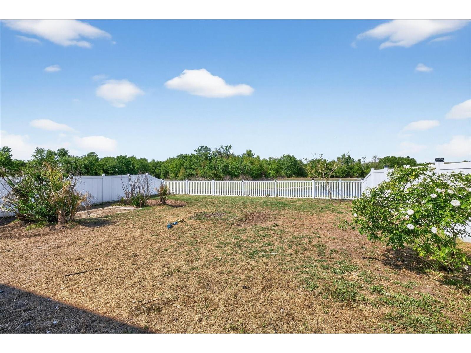 14825 Crescent Rock Drive Wimauma FL 33598 TB8490539 image41