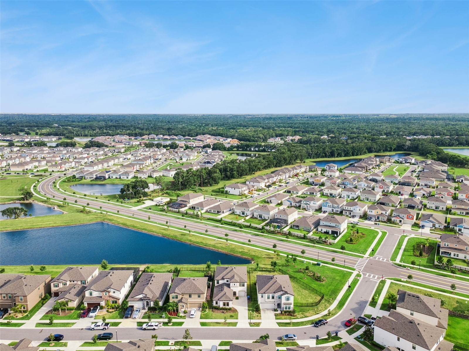 14825 Paddock Pond Avenue Lithia FL 33547 O6417104 image57