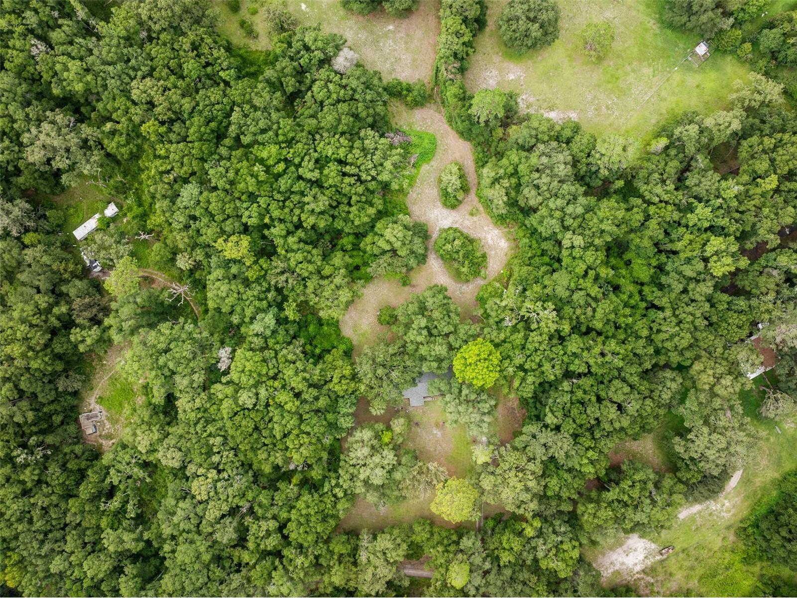 14825 SW 83rd Terrace Archer FL 32618 GC532701 image32