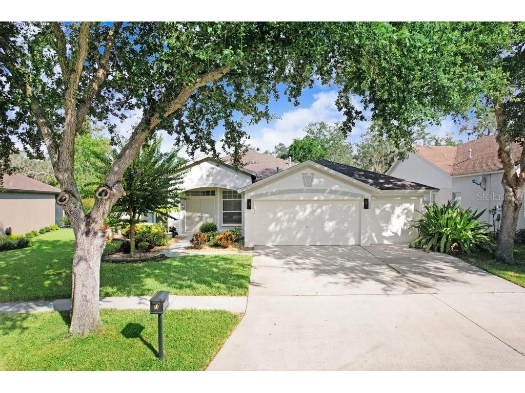 14826 Heronglen Drive Lithia FL 33547 TB8414641 image1