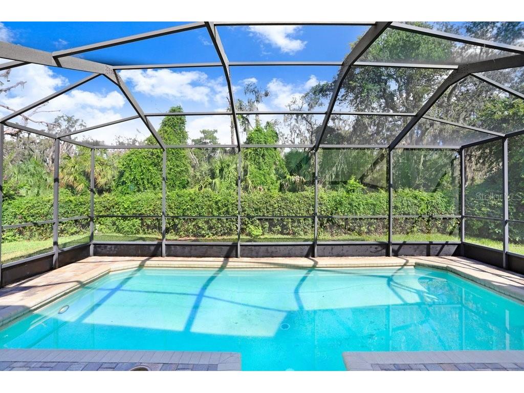 14826 Heronglen Drive Lithia FL 33547 TB8414641 image25