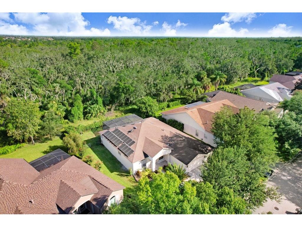 14826 Heronglen Drive Lithia FL 33547 TB8414641 image27