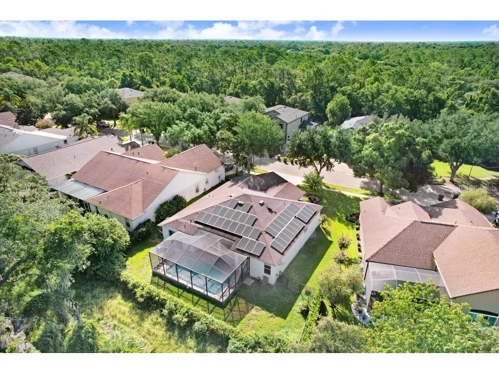 14826 Heronglen Drive Lithia FL 33547 TB8414641 image28