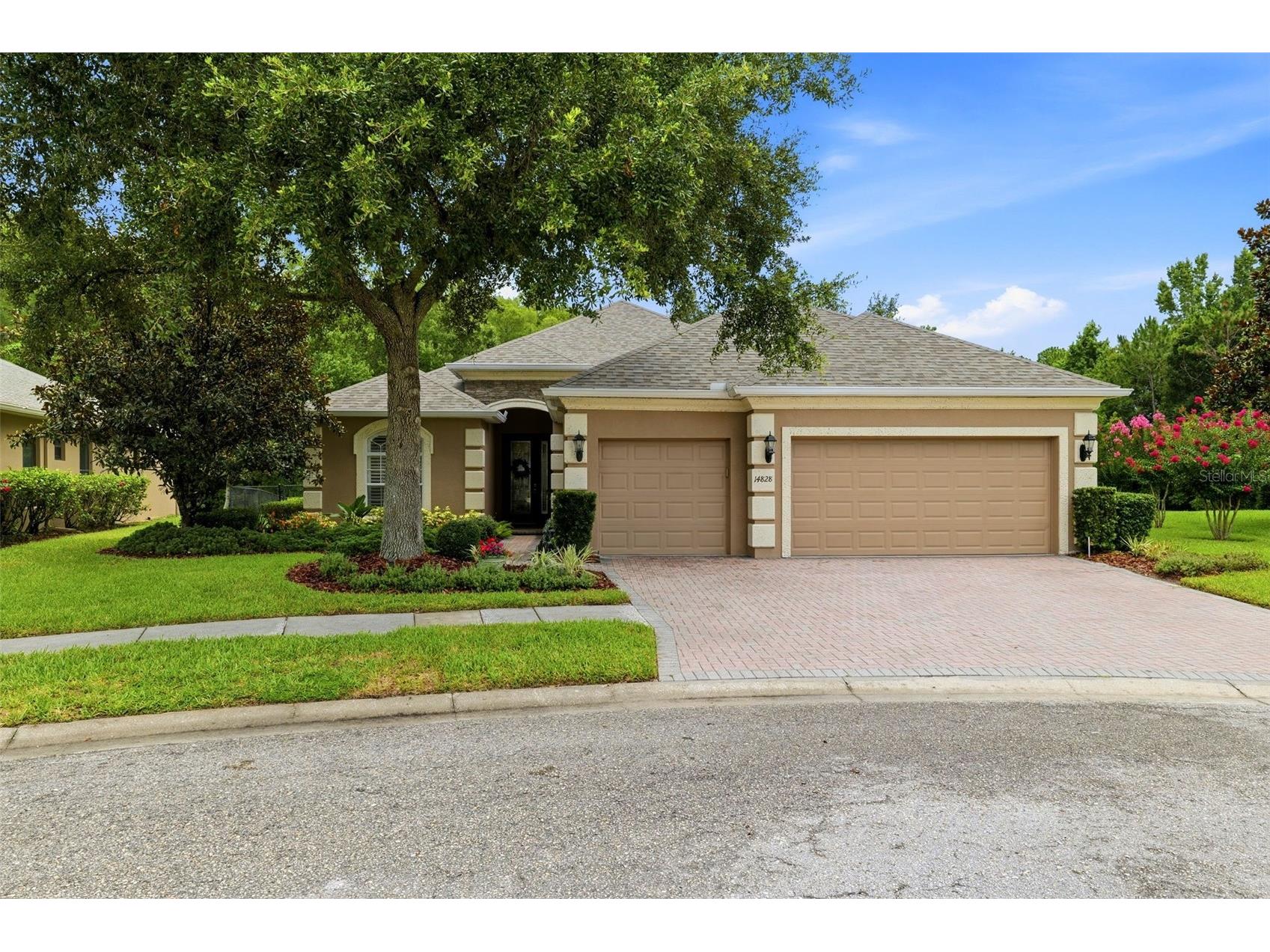 14828 Man O War Drive Odessa FL 33556 TB8529357 image2