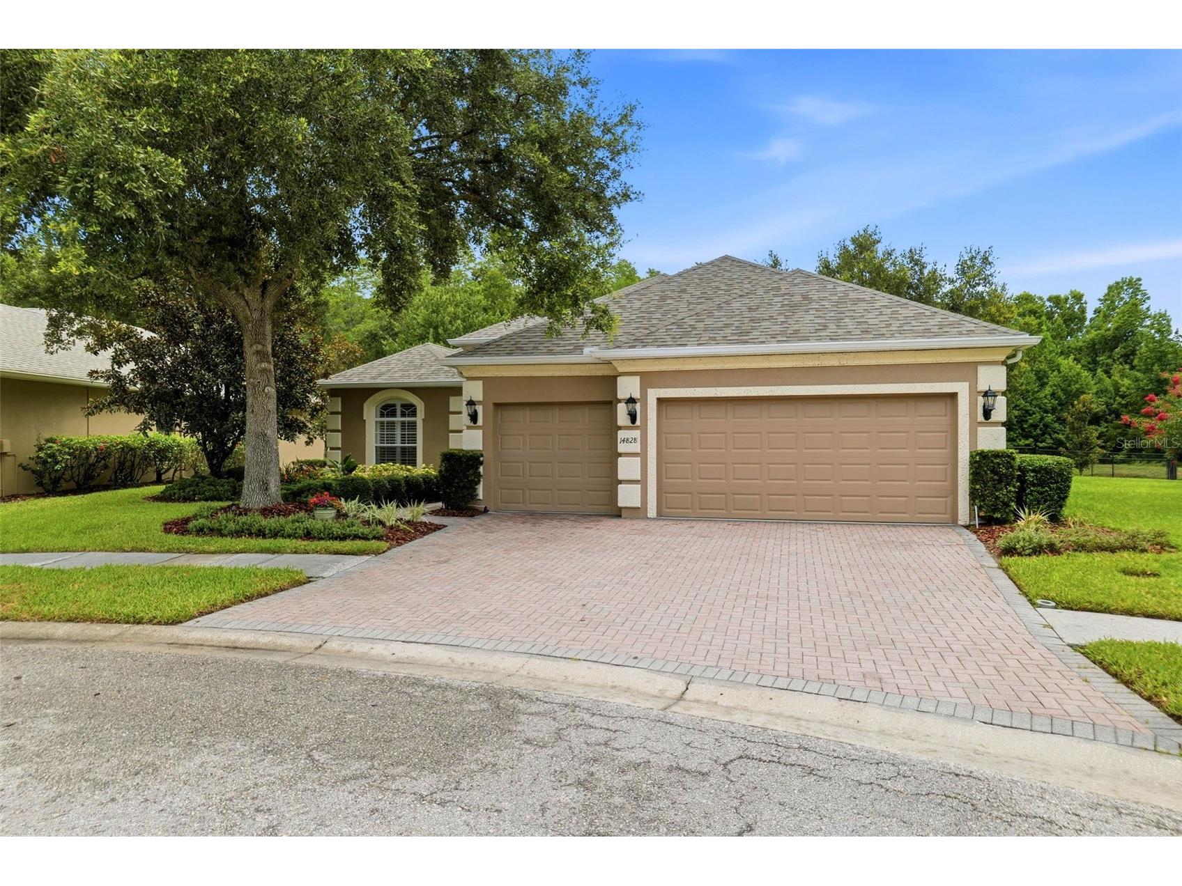 14828 Man O War Drive Odessa FL 33556 TB8529357 image5