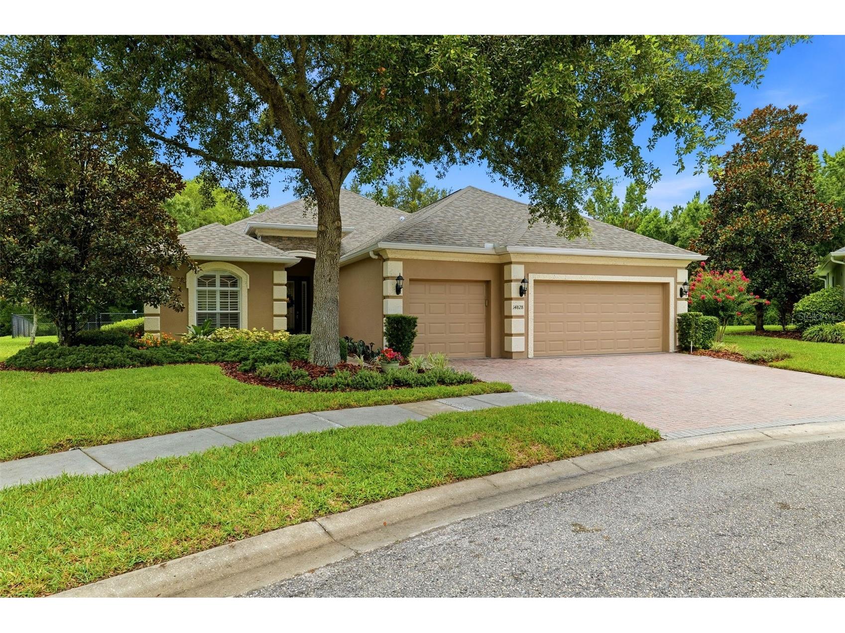 14828 Man O War Drive Odessa FL 33556 TB8529357 image60