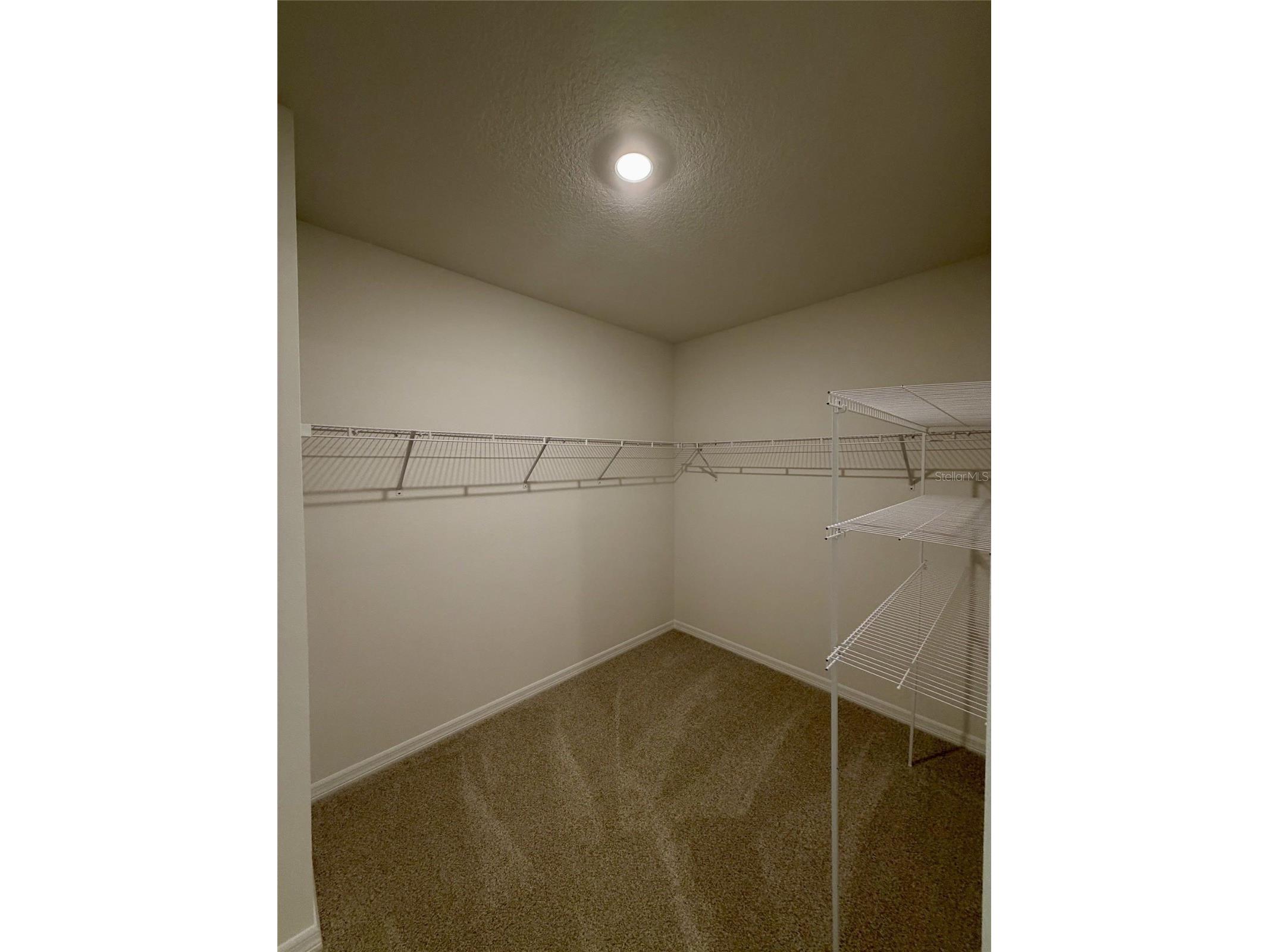 1483 Brekey Way Zephyrhills FL 33541 TB8515546 image10