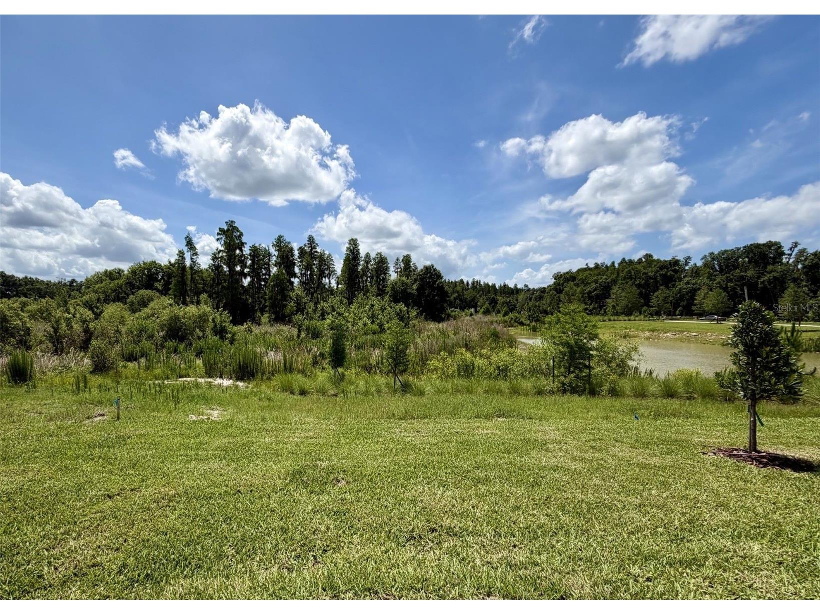 1483 Brekey Way Zephyrhills FL 33541 TB8515546 image17