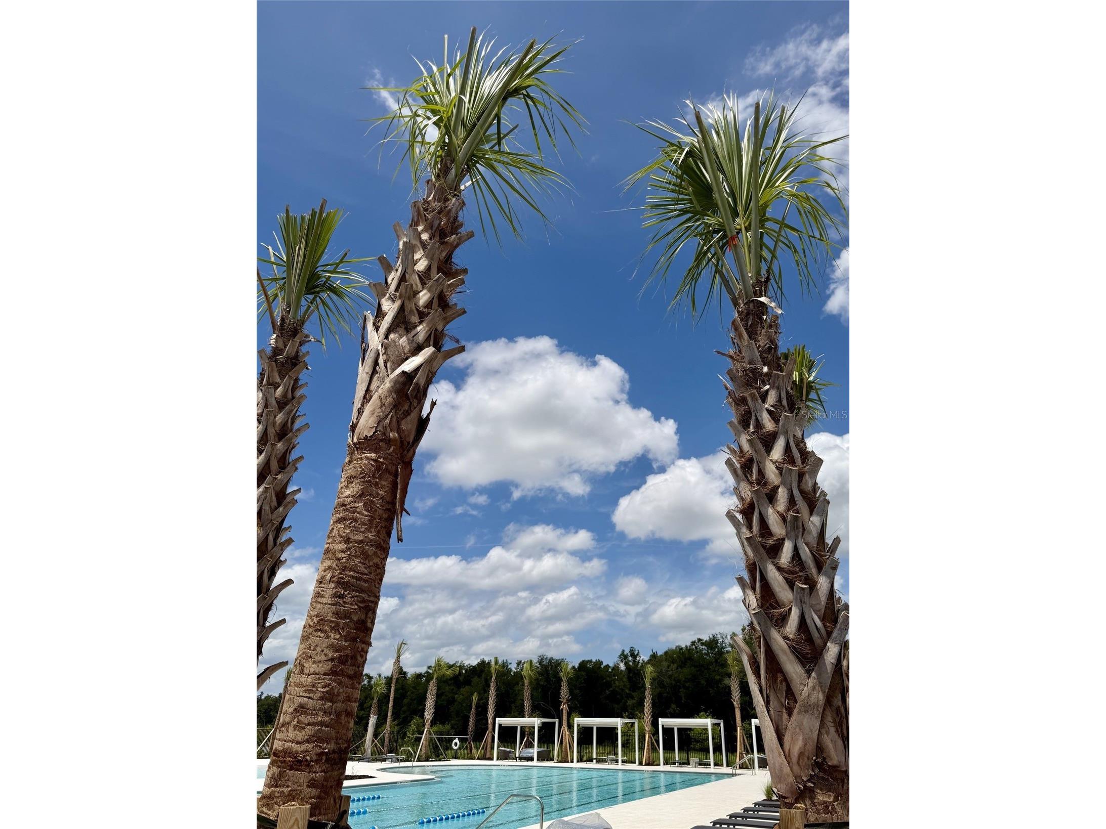1483 Brekey Way Zephyrhills FL 33541 TB8515546 image25