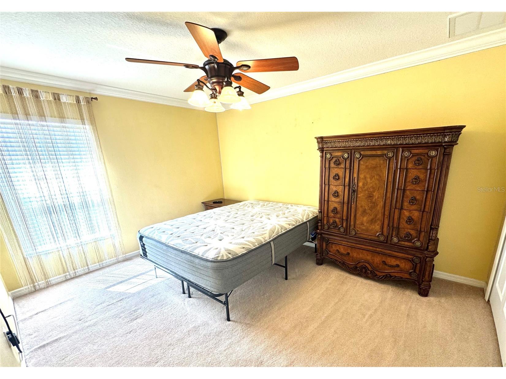 1483 Hillview Lane Tarpon Springs FL 34689 TB8479153 image13