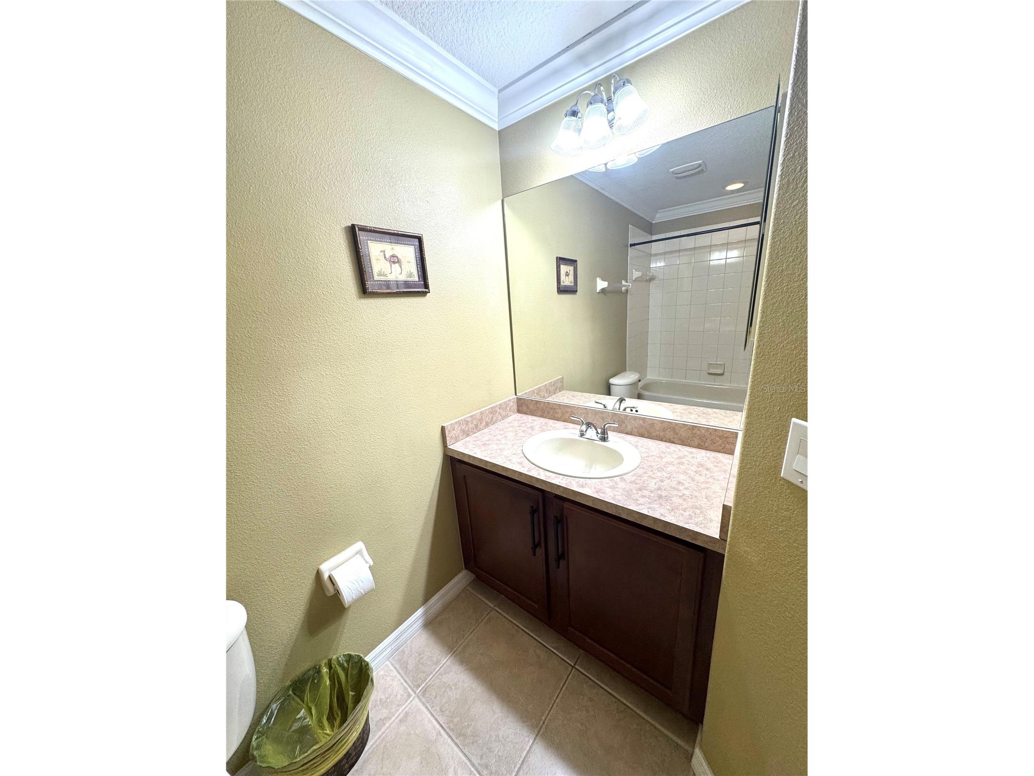 1483 Hillview Lane Tarpon Springs FL 34689 TB8479153 image16