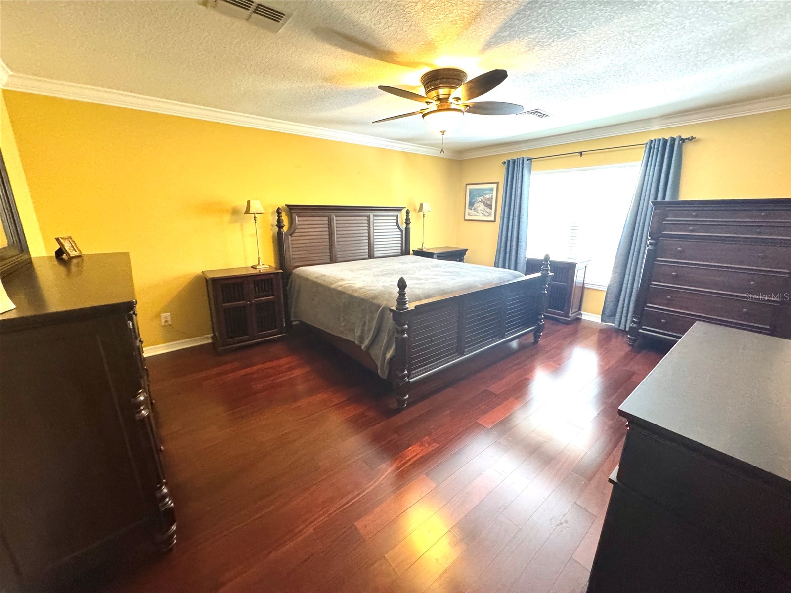 1483 Hillview Lane Tarpon Springs FL 34689 TB8479153 image20