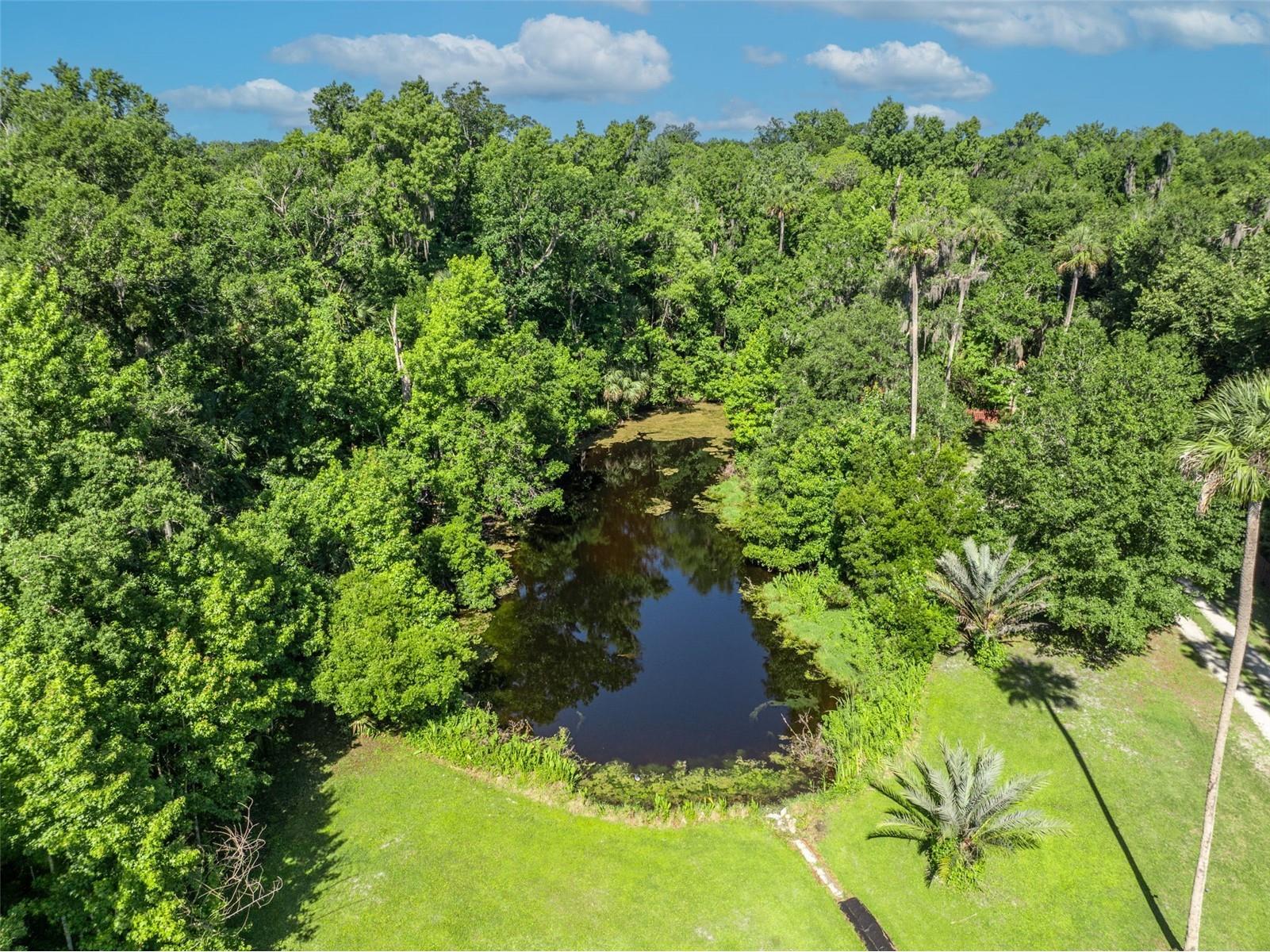 1483 Mirkwood Cove Oviedo FL 32765 O6405731 image53