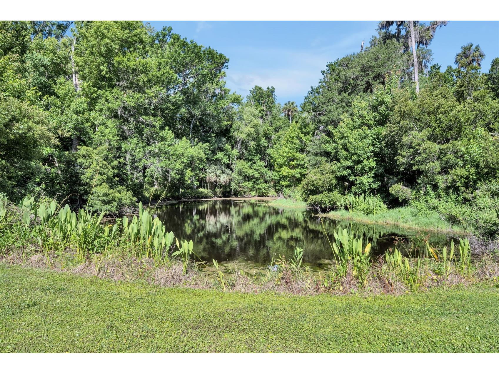 1483 Mirkwood Cove Oviedo FL 32765 O6405731 image54